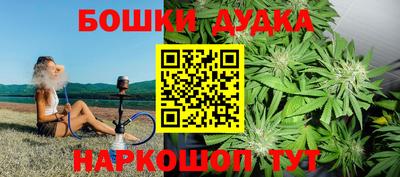 крисы Будённовск